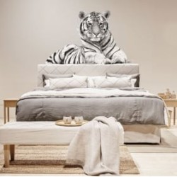 Vinil de Tigre (Lo que Recibes)